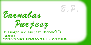 barnabas purjesz business card